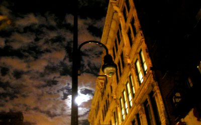 Don’t interrupt me! I’m dreaming.