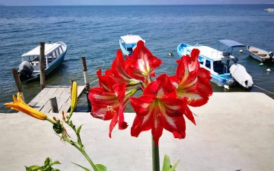 Flirts and social capital