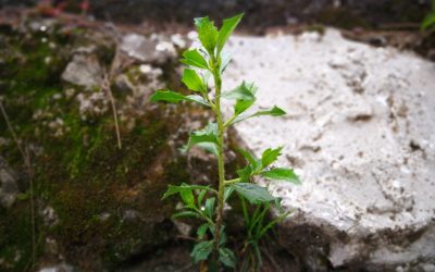 Perceiving personal power