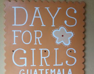 Diversity training for a NGO