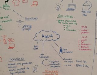 Environmental youth work